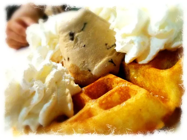 Geláre ice cream waffles~|Rynna Gohさん