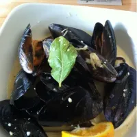 Locally Harvested Mussels|Marni Lombardoさん