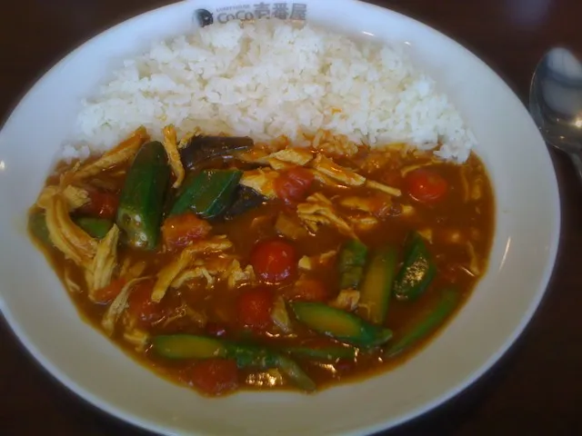 チキンと夏野菜カレー|大石さん