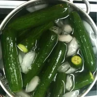 home made dill pickles|kristen gonsiorさん