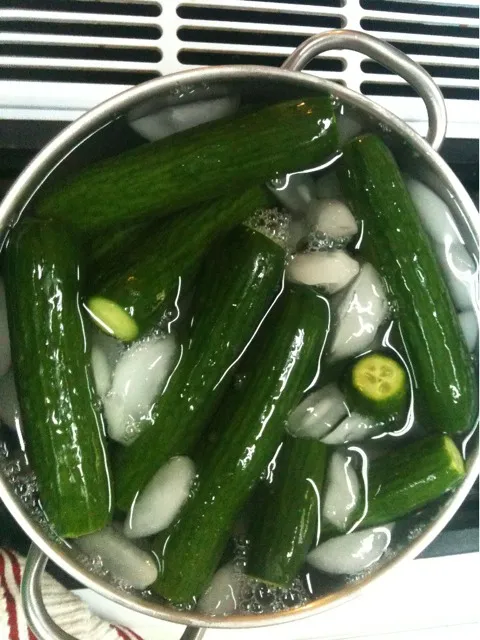 home made dill pickles|kristen gonsiorさん