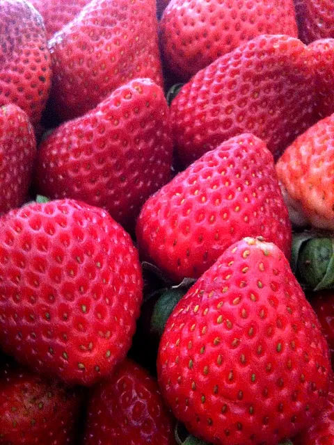 Fresh Strawberries|Monina Baronganさん