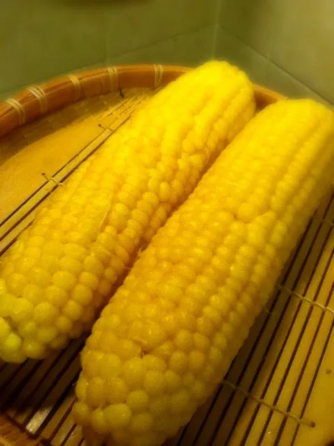 corn on the cob 茹でトウモロコシ|Funky Chefさん