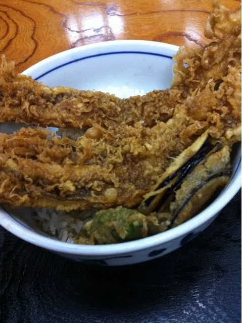 Snapdishの料理写真:あなご天丼|岩瀬さやかさん