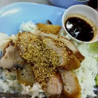 Snapdishの料理写真:rice with pork grilled|pandabocさん