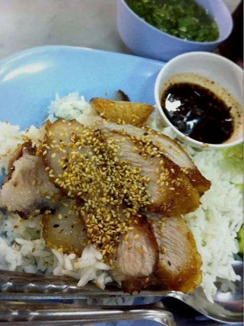 Snapdishの料理写真:rice with pork grilled|pandabocさん