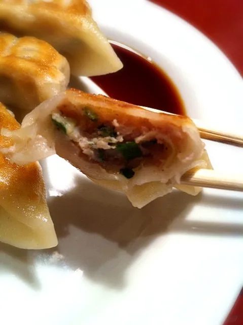 Gyoza|about.me/pinku_nekoさん