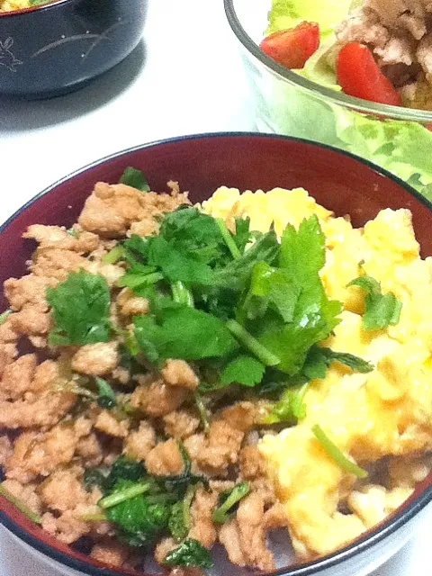 鶏そぼろ丼|はるぼぼさん