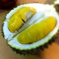 durian|lim wee hoonさん