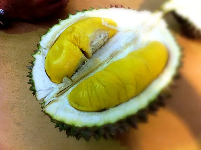 durian|lim wee hoonさん