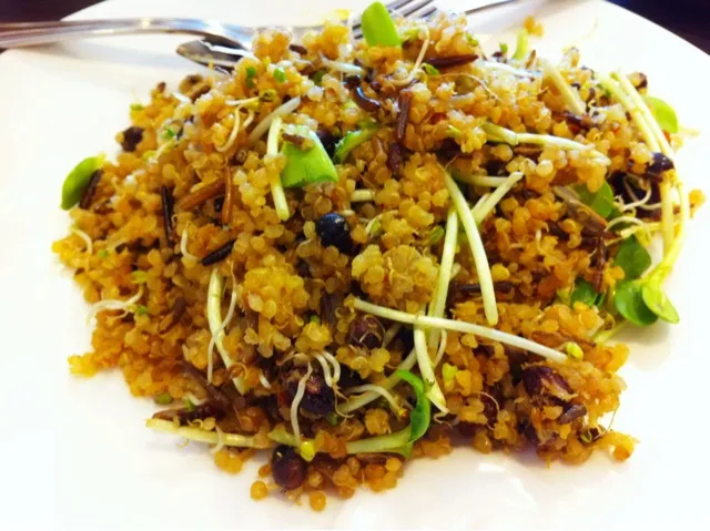 Quinoa Salad with Wild Rice|Karen Seeさん