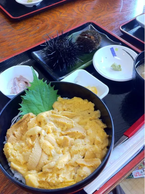 Snapdishの料理写真:生うに丼セット|とあさん