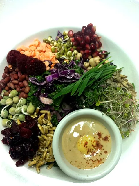 sprouted power salad w/dijon tahini|GREG ARNOLDさん