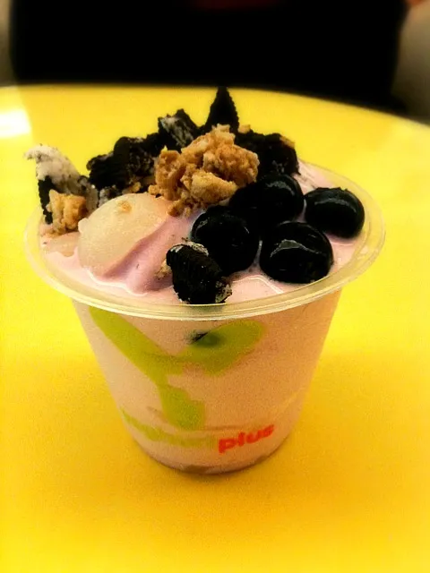 Yoghurt Plus Raspberry Yoghurt|li fang angさん