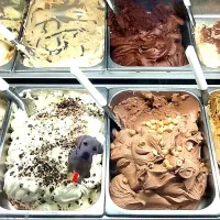 Ice-cream|Mariano Pallottiniさん