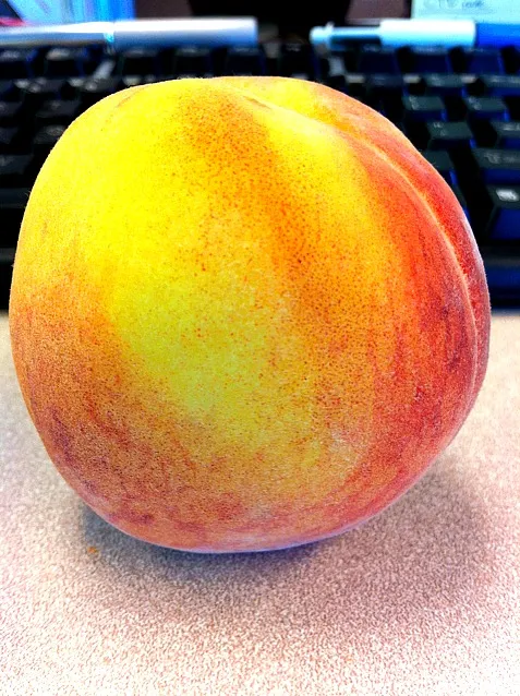 Behold the peach|Natali Paunovicさん