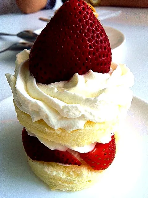 Strawberry Short Cake|Chompoo Arunprasertkulさん