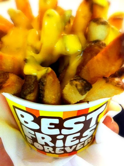 Snapdishの料理写真:Super cheesy fries! (:|meeowwmeeowwさん