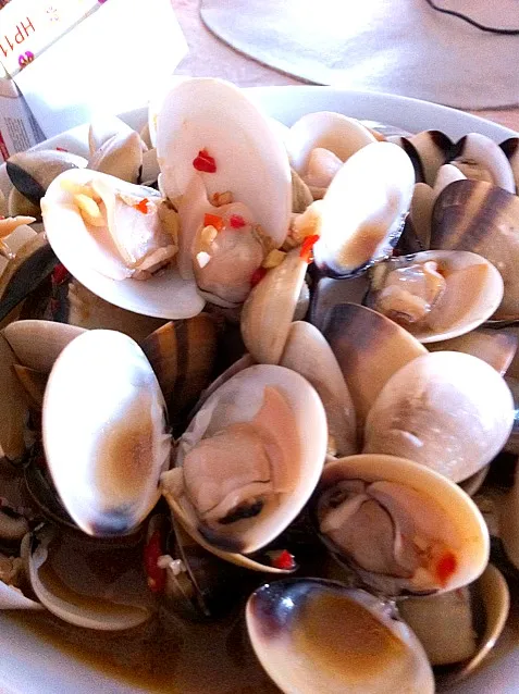 Clams for lunch!|Sara Kyeさん