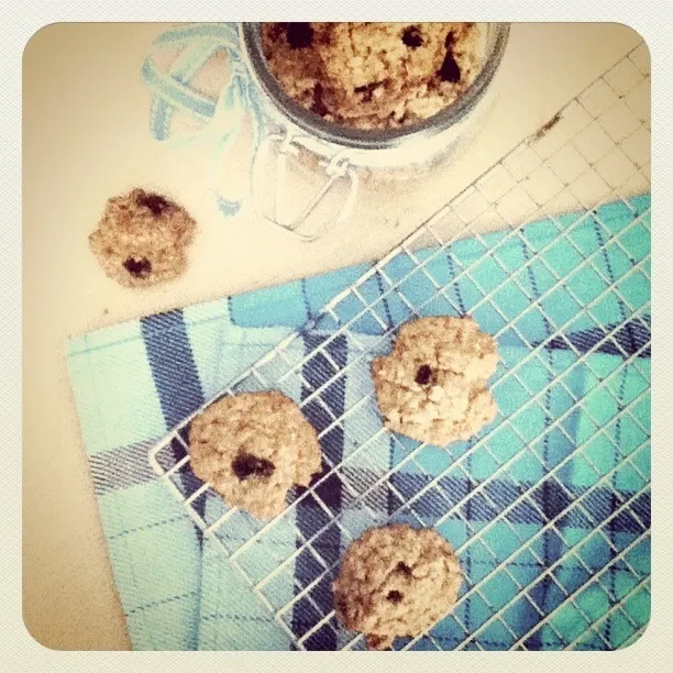 oatmeal chocohip cookies|Rurie van Sarkさん