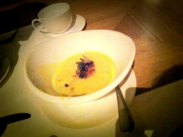 Snapdishの料理写真:corn soup w truffle.. yumz|annaさん