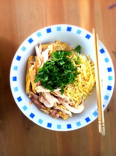 Vietnamese noddle !!!|Hanh Nguyenさん