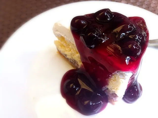 Mascapone Blueberry Cheese Cake|Sueさん