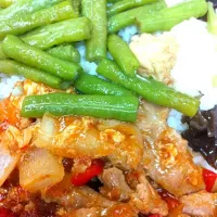 sambal pork rice|tracy tiongさん