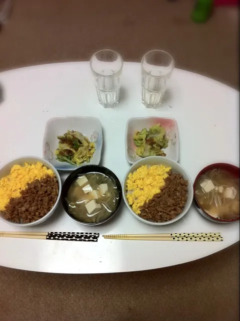 鶏そぼろ丼 さっぱりキャベツサラダ|きなさん