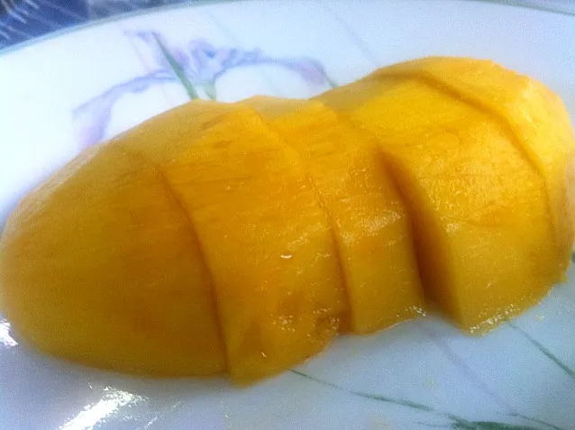 Mango|John Teoさん