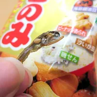 weird japanese snack|Marije Willemsenさん