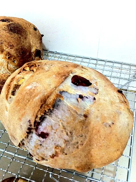 Snapdishの料理写真:cranberry bread|zeitwolerさん