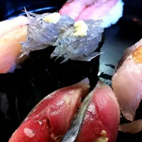 三浦海岸の地魚にぎり|toshiさん