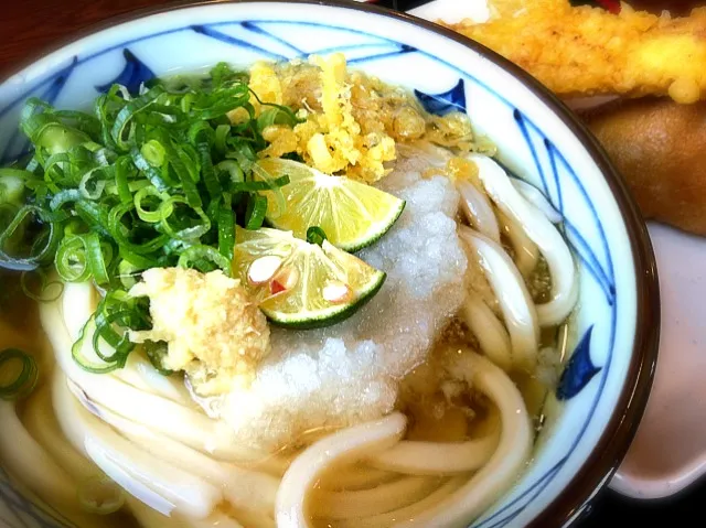 丸亀製麺のすだちおろし饂飩|大谷商店さん