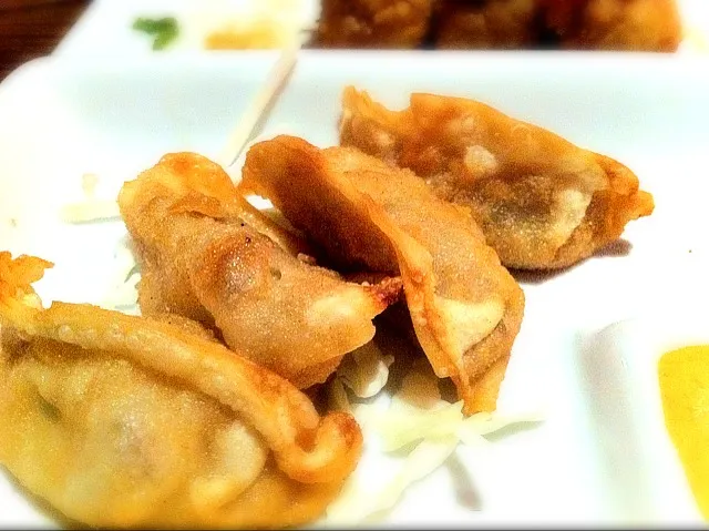 Pork Gyoza|neotwothreeさん