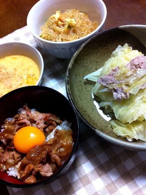 豚丼とか 春雨サラダ|ヒロジュンさん