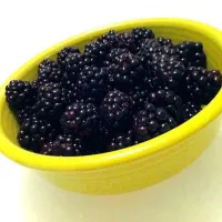 Fresh picked blackberries|Joe Kotさん