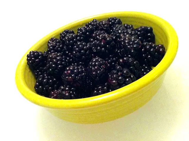 Fresh picked blackberries|Joe Kotさん