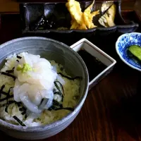 白エビの刺身丼|Keisuke SHIMANEさん