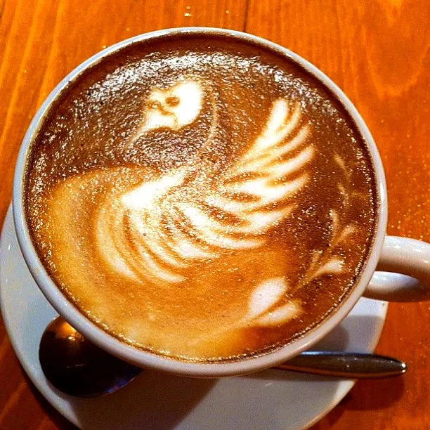 Swan Cappccino|Maiko Ishimaruさん