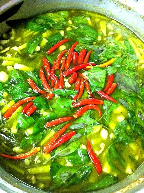 Snapdishの料理写真:Chicken green curry with young coconut meat|Pim Patanasuthikulさん