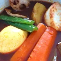 Snapdishの料理写真:自家製スープカレー|vespaさん