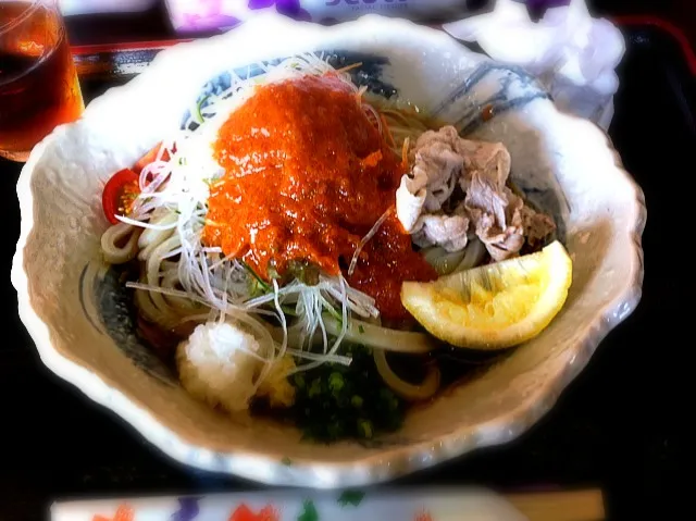 ピリ辛ぶっかけうどん（手打ちうどん わけい）|osappさん