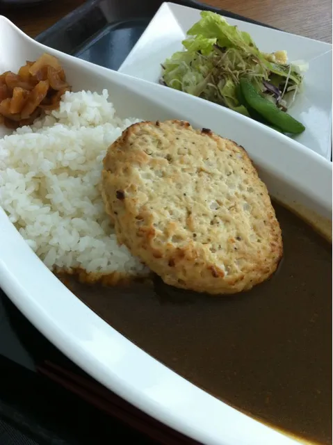 わらじっぽいハンバーグカレー|岩瀬さやかさん