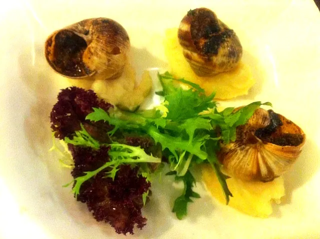 baked french escargot with mashed potato|skyblueさん