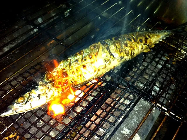 秋刀魚が美味し|コパノスケさん