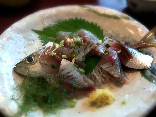 鯵の刺身、うまい！|a hosodaさん