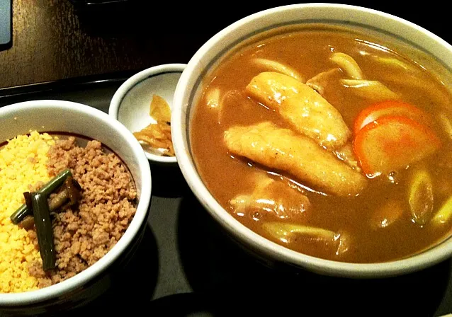 Snapdishの料理写真:カレーうどんとミニそぼろ丼|純さん