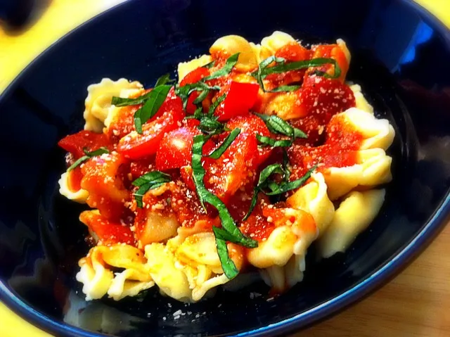 Cheese tortellini with fresh tomato basil chunky sauce|jessさん