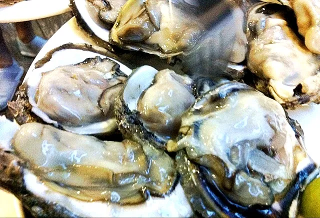 Snapdishの料理写真:giant oyster from surat thani|thanyathorn thammaさん